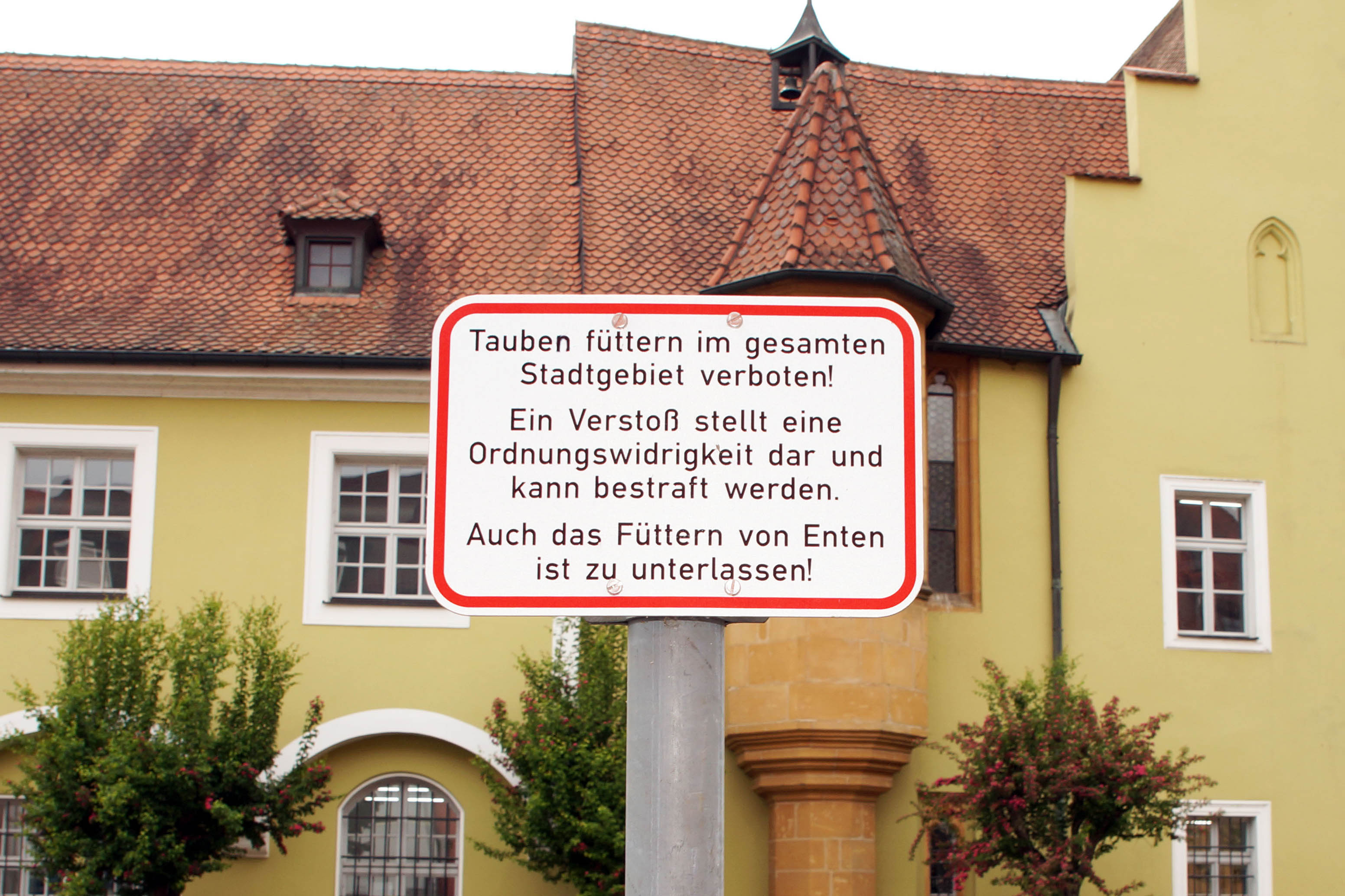 Das Foto zeigt ein Taubenfütterungsverbots-Schild in Amberg