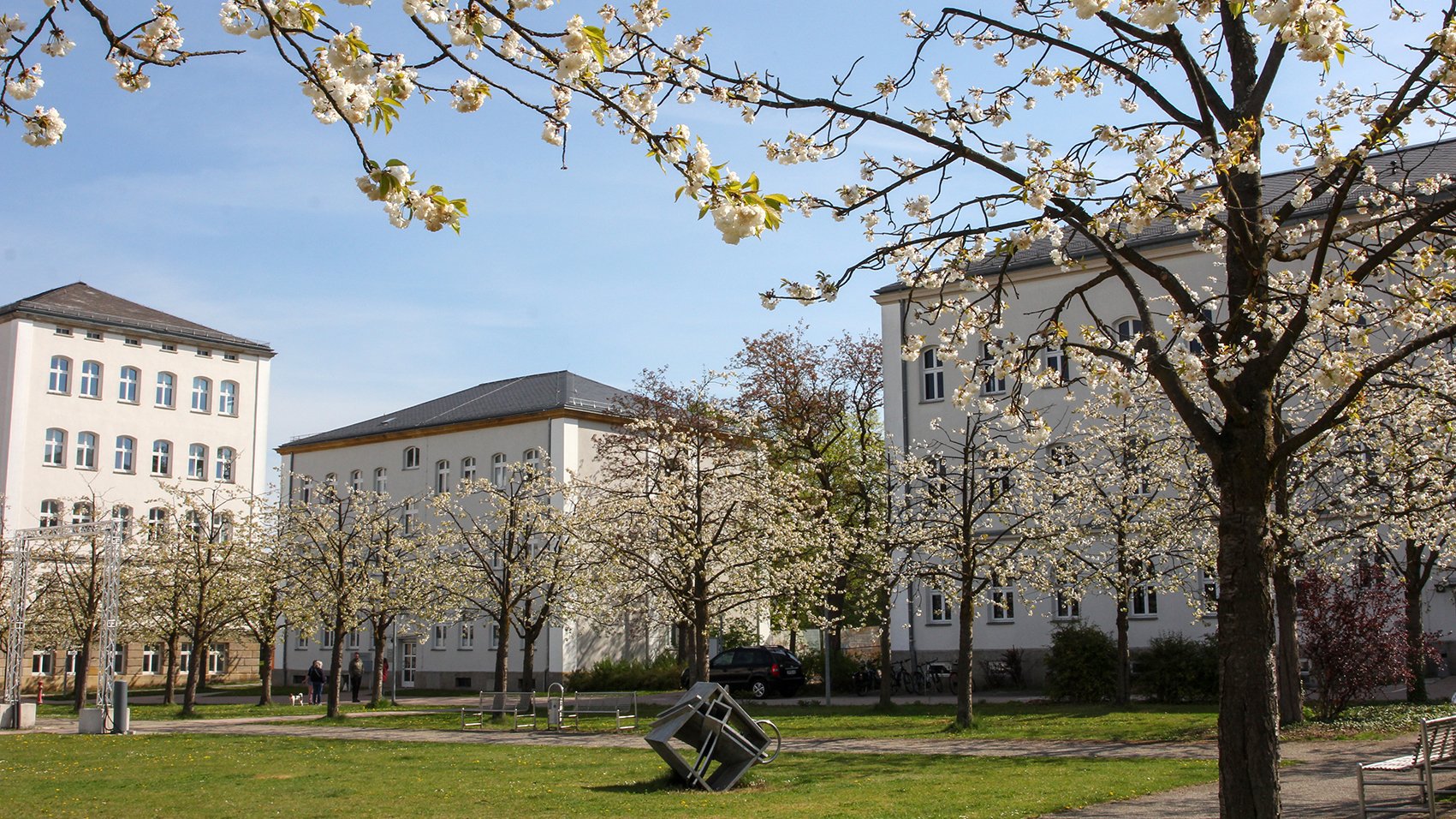 Campus der OTH Amberg-Weiden zur Kirschblüte