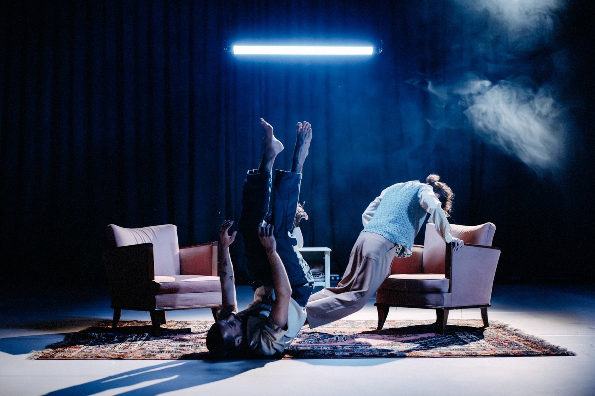 Birdsland. Foto/Copyright: Nicholas Clausen  